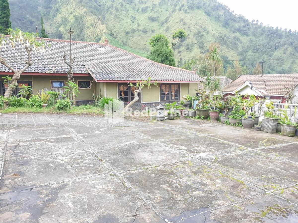 Ngadisari Hotel Yoschi'S Bromo At Desa Wisata Bromo מראה חיצוני תמונה