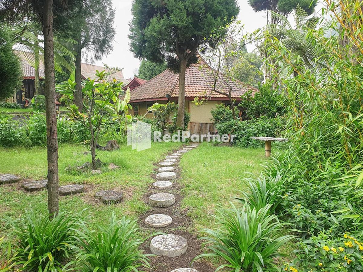 Ngadisari Hotel Yoschi'S Bromo At Desa Wisata Bromo מראה חיצוני תמונה